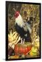 Colored Dorking Bantam Rooster-Lynn M^ Stone-Framed Photographic Print