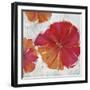 Colored Glass-Sydney Edmunds-Framed Giclee Print