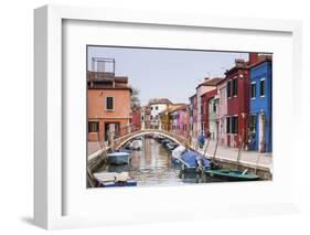 Colored Houses on the Island of Burano, Venice, Veneto, Italy, Europe-Julian Elliott-Framed Photographic Print