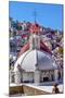 Colored Houses, San Roque Church, Market, Hidalgo, Guanajuato, Mexico-William Perry-Mounted Premium Photographic Print