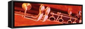 Colored Lights, Close-up of a Clarinet-null-Framed Stretched Canvas