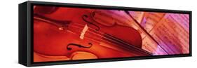 Colored Lights, Close-up of a Violin-null-Framed Stretched Canvas