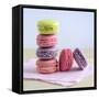 Colored Macaroons on a Platter-Sonia Chatelain-Framed Stretched Canvas