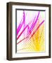 Colored Poster Palm-Ruth Palmer-Framed Art Print