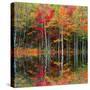 Colored reflections-Marco Carmassi-Stretched Canvas