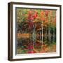 Colored reflections-Marco Carmassi-Framed Photographic Print