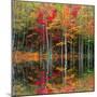 Colored reflections-Marco Carmassi-Mounted Photographic Print