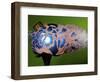 Colored Sands of Time-Alan Sailer-Framed Photographic Print