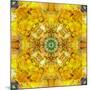 Colored Seworld Mandala-Alaya Gadeh-Mounted Photographic Print
