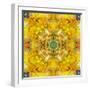 Colored Seworld Mandala-Alaya Gadeh-Framed Photographic Print