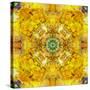 Colored Seworld Mandala-Alaya Gadeh-Stretched Canvas