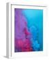 Colored Smoke-Henrik Sorensen-Framed Photographic Print