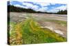 Colored Thermophilic Bacteria in Yellowstone National Park-James White-Stretched Canvas