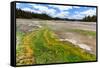 Colored Thermophilic Bacteria in Yellowstone National Park-James White-Framed Stretched Canvas