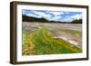 Colored Thermophilic Bacteria in Yellowstone National Park-James White-Framed Photographic Print