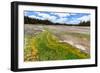 Colored Thermophilic Bacteria in Yellowstone National Park-James White-Framed Photographic Print