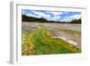 Colored Thermophilic Bacteria in Yellowstone National Park-James White-Framed Photographic Print