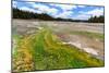 Colored Thermophilic Bacteria in Yellowstone National Park-James White-Mounted Photographic Print