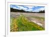 Colored Thermophilic Bacteria in Yellowstone National Park-James White-Framed Photographic Print