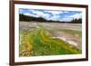 Colored Thermophilic Bacteria in Yellowstone National Park-James White-Framed Photographic Print