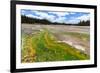 Colored Thermophilic Bacteria in Yellowstone National Park-James White-Framed Photographic Print