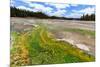 Colored Thermophilic Bacteria in Yellowstone National Park-James White-Mounted Photographic Print