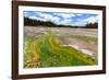 Colored Thermophilic Bacteria in Yellowstone National Park-James White-Framed Photographic Print