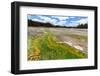 Colored Thermophilic Bacteria in Yellowstone National Park-James White-Framed Photographic Print