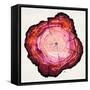 Colored Tree Trunk II-Elizabeth Medley-Framed Stretched Canvas