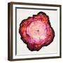 Colored Tree Trunk II-Elizabeth Medley-Framed Art Print