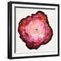 Colored Tree Trunk II-Elizabeth Medley-Framed Art Print