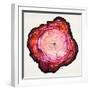 Colored Tree Trunk II-Elizabeth Medley-Framed Art Print