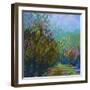 Colorfield #60-Jane Schmidt-Framed Art Print