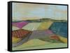 Colorfield II-Jennifer Goldberger-Framed Stretched Canvas