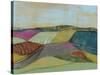 Colorfield II-Jennifer Goldberger-Stretched Canvas