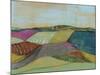 Colorfield II-Jennifer Goldberger-Mounted Art Print