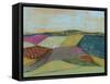 Colorfield II-Jennifer Goldberger-Framed Stretched Canvas