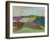 Colorfield II-Jennifer Goldberger-Framed Art Print