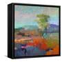 Colorfield XII-Jane Schmidt-Framed Stretched Canvas