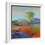 Colorfield XII-Jane Schmidt-Framed Art Print