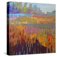 Colorfield XXII-Jane Schmidt-Stretched Canvas