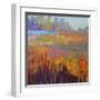 Colorfield XXII-Jane Schmidt-Framed Art Print