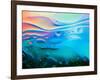 Colorful Abstract Background with Oil Drops on Water-Abstract Oil Work-Framed Photographic Print