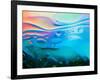 Colorful Abstract Background with Oil Drops on Water-Abstract Oil Work-Framed Photographic Print