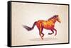 Colorful Abstract Horse Shape-cienpies-Framed Stretched Canvas