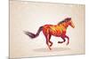 Colorful Abstract Horse Shape-cienpies-Mounted Premium Giclee Print