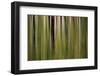 Colorful abstract impressions of water and reflections.-Brent Bergherm-Framed Photographic Print