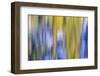 Colorful abstract impressions of water and reflections.-Brent Bergherm-Framed Photographic Print