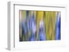 Colorful abstract impressions of water and reflections.-Brent Bergherm-Framed Photographic Print