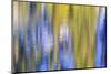 Colorful abstract impressions of water and reflections.-Brent Bergherm-Mounted Photographic Print